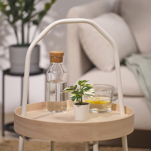 FEJKA, artificial potted plant with pot in/outdoor Monstera, 6 cm, 805.932.05