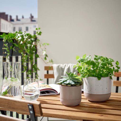 BUSKKAPRIFOL, plant pot in/outdoor, 9 cm, 805.958.98