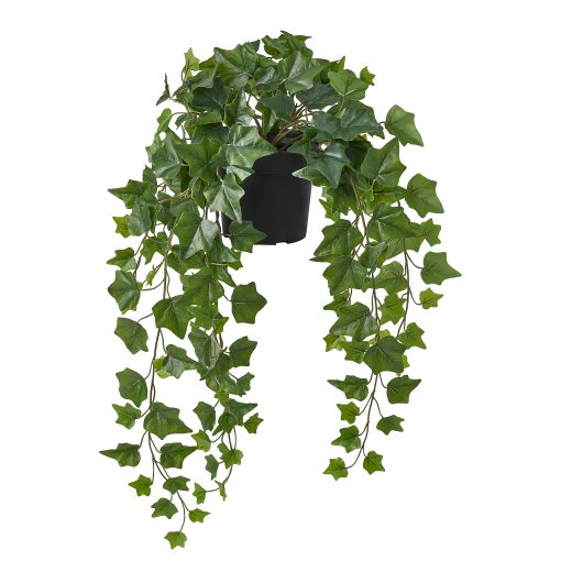 FEJKA, artificial potted plant in/outdoor hanging/Ivy, 15 cm, 806.008.52