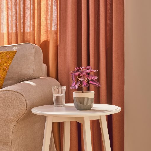 FEJKA, artificial potted plant in/outdoor/Painted nettle, 9 cm, 806.014.70