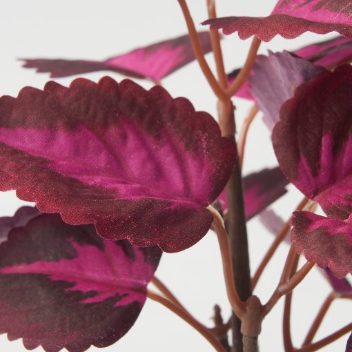 FEJKA, artificial potted plant in/outdoor/Painted nettle, 9 cm, 806.014.70