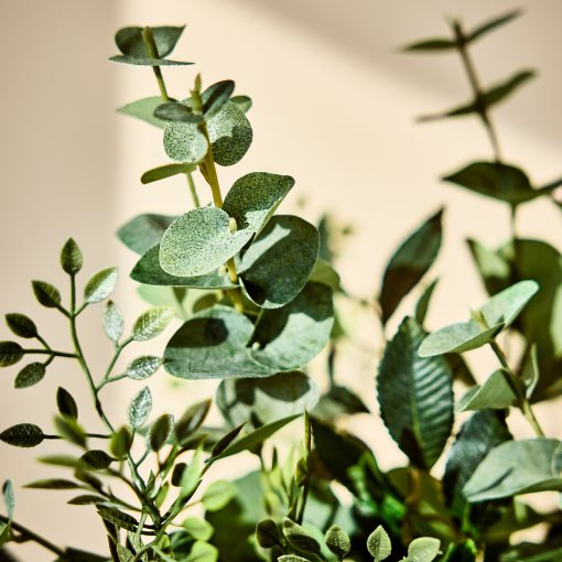 SMYCKA, τεχνητή ανθοδέσμη εσωτ./εξωτ. χώρου/ευκάλυπτος, 60 cm, 806.062.60