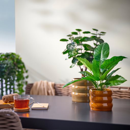 HASSELBUKETT, κασπό εσωτερικού/εξωτερικού χώρου, 12 cm, 806.218.21