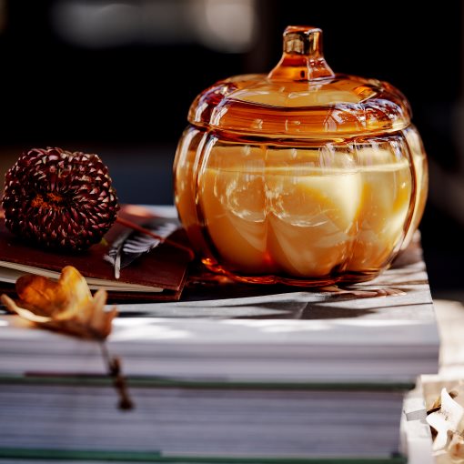 HOSTAGILLE, scented candle in glass/spiced pumpkin/2 wicks, 40 hr, 806.255.17
