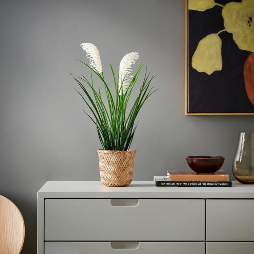 FEJKA, artificial potted plant/grass/in/outdoor, 12 cm, 806.263.95