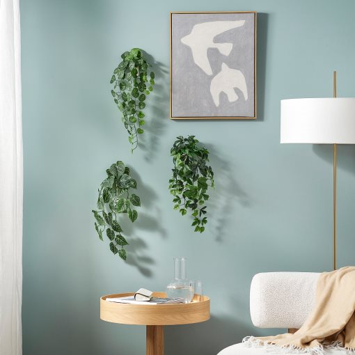 FEJKA, artificial plant with wall holder, set of 3, 806.301.56