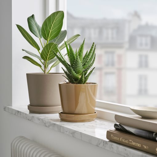 CITRUSFRUKT, plant pot with saucer in/outdoor, 12 cm, 905.515.73