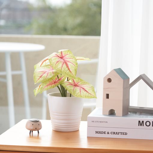 FEJKA, τεχνητό φυτό σε γλάστρα εσωτερικού/εξωτερικού χώρου/Καλάδιο, 9 cm, 905.596.54