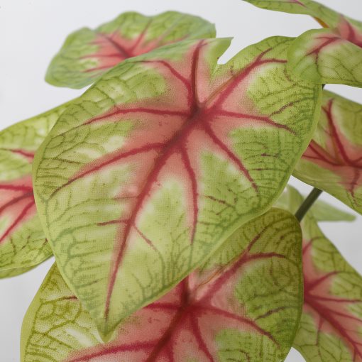 FEJKA, τεχνητό φυτό σε γλάστρα εσωτερικού/εξωτερικού χώρου/Καλάδιο, 9 cm, 905.596.54