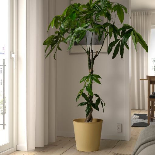 ÅKERBÄR, plant pot/in/outdoor, 32 cm, 905.613.22