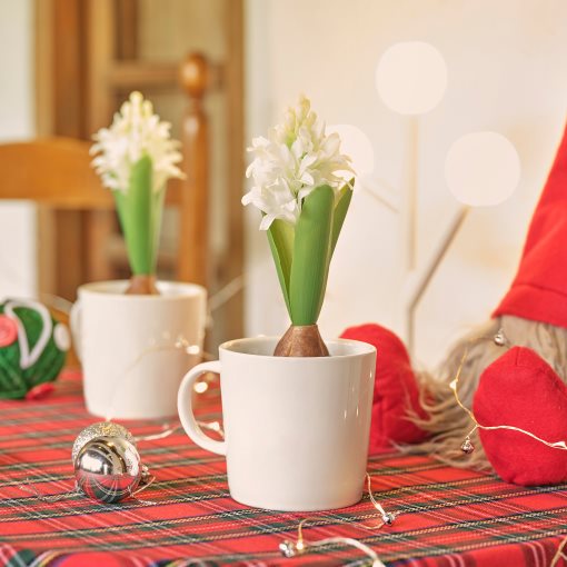 VINTERFINT, artificial flower/Hyacinth, 22 cm, 905.637.07