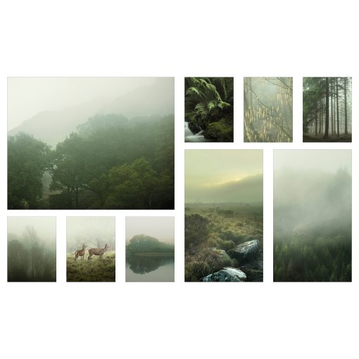 PJÄTTERYD, picture/Mist in the forest, set of 9, 905.679.70