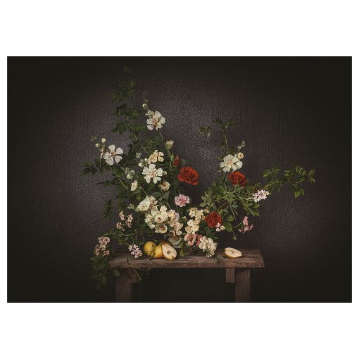 PJÄTTERYD, picture/flowers against a black wall, 70x50 cm, 905.789.02