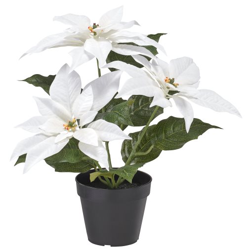 VINTERFINT, artificial potted plant in/outdoor Poinsettia, 12 cm, 906.066.36