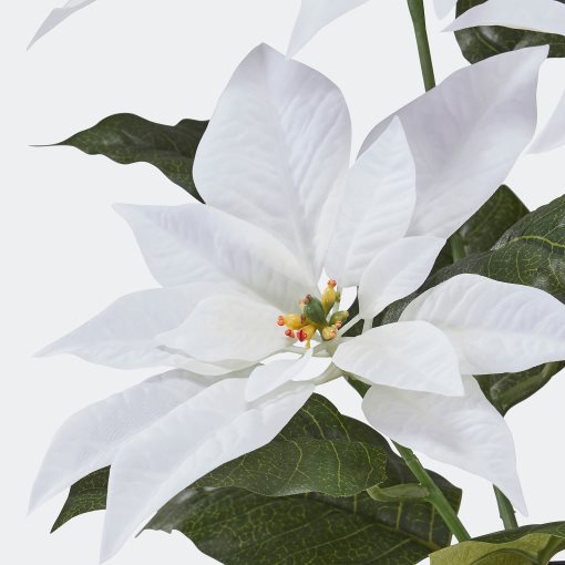 VINTERFINT, artificial potted plant in/outdoor Poinsettia, 12 cm, 906.066.36