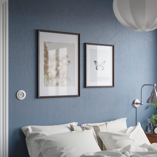 KLOTKÖRSBÄR, κορνίζα, 50x70 cm, 906.100.73