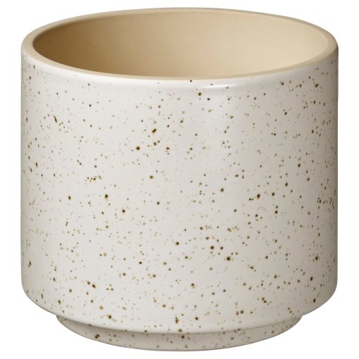 SANDKÖRSBÄR, plant pot in/outdoor, 12 cm, 906.218.25