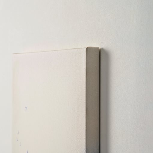 PJÄTTERYD, picture/dawn haze/2 pack, 30x40 cm, 906.238.67