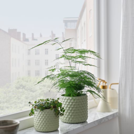 GLACIÄRBJÖRN, plant pot, 9 cm, 906.328.19