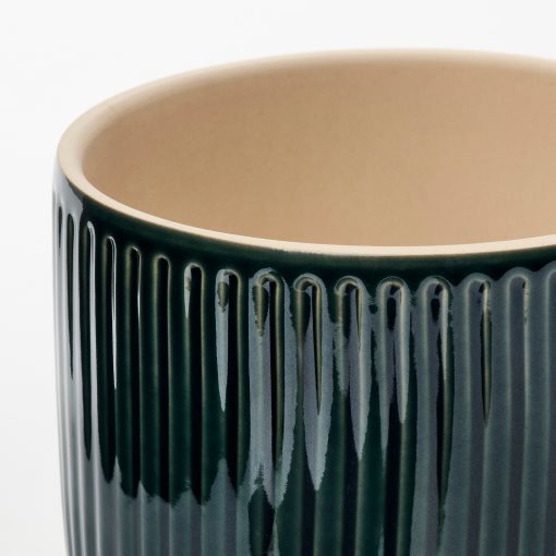 HONUNGSPALM, plant pot in/outdoor, 12 cm, 906.413.43