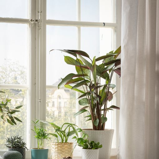 CHIAFRÖN, κασπό, 004.419.04