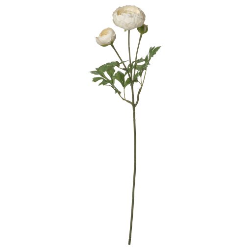 SMYCKA, artificial flower in/outdoor/Ranunculus, 52 cm, 006.080.03