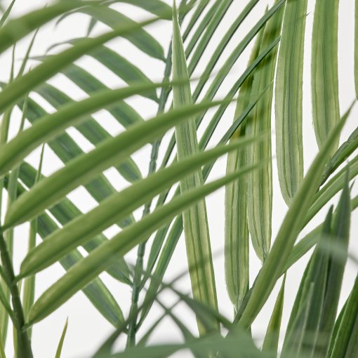 FEJKA, artificial potted plant in/outdoor/Areca palm, 12 cm, 006.152.25