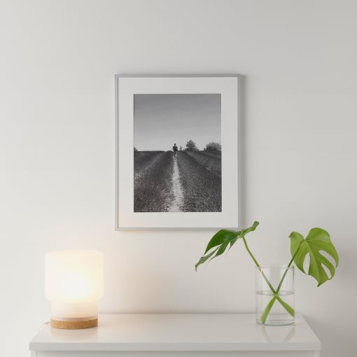 LOMVIKEN, frame, 40x50 cm, 103.143.16