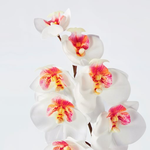 SMYCKA, artificial flower/in/outdoor/Orchid, 60 cm, 105.871.56