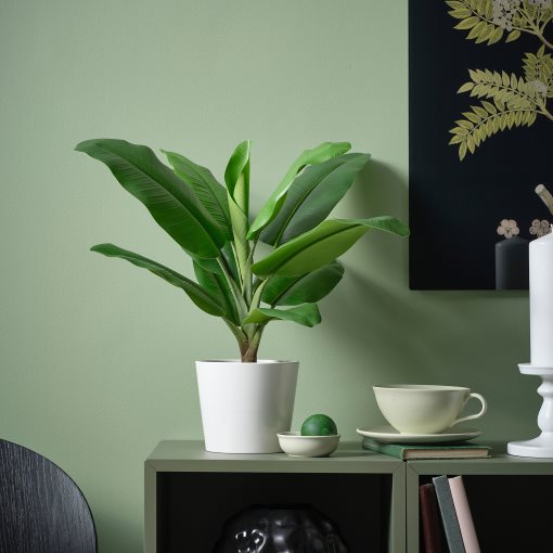 FEJKA, artificial potted plant in/outdoor Banana tree, 12 cm, 106.008.60