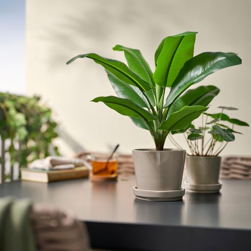 FEJKA, artificial potted plant in/outdoor Banana tree, 12 cm, 106.008.60