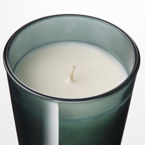 PÄRONTRÄD, scented candle in glass with lid/Mountain air, 25 hr, 205.272.18