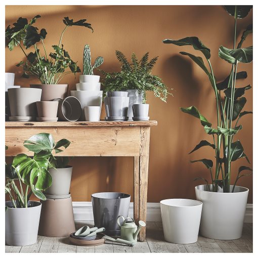 SOJABÖNA, plant pot, 32 cm, 205.335.92