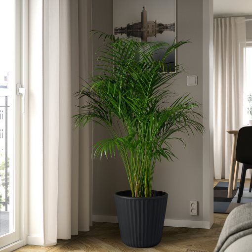 BJORNBAMBU, plant pot/in/outdoor, 32 cm, 205.612.93