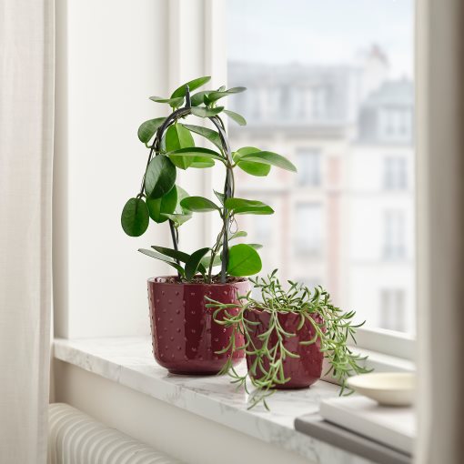 SESAMFRÖN, plant pot in/outdoor, 12 cm, 205.693.45