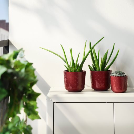SESAMFRÖN, plant pot in/outdoor, 12 cm, 205.693.45