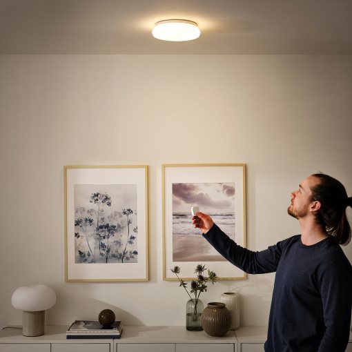 STOFTMOLN, ceiling/wall lamp with built-in LED light source/wireless dimmable/warm white, 24 cm, 304.974.90