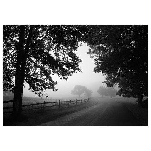 BJÖRKSTA, picture/misty country road, 200x140 cm, 305.004.83