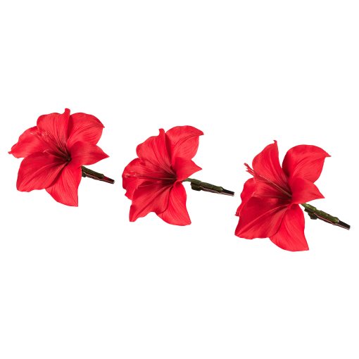 VINTERFINT, decoration/Amaryllis, 3 piece, 305.579.93