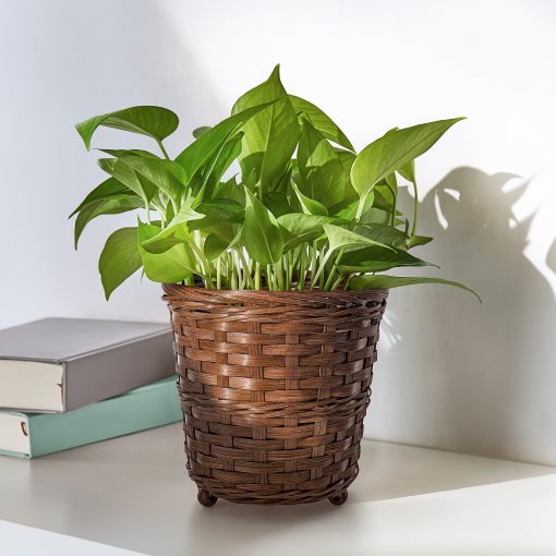 KLIBBAL, plant pot, 15 cm, 305.712.15