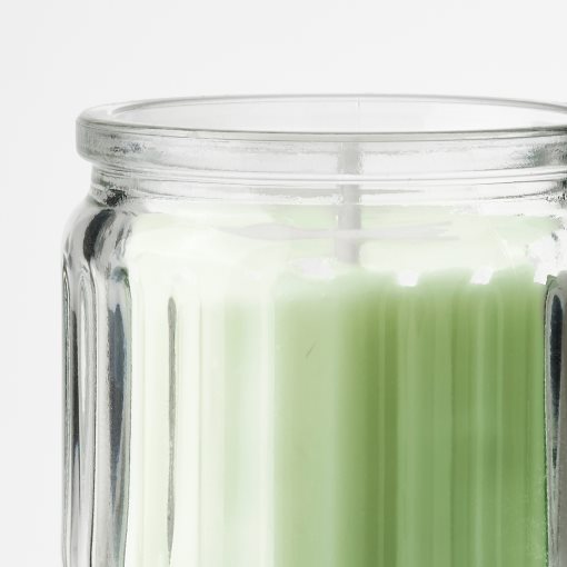 LOVSKOGSLUND, scented candle in glass/apple, 12 hr, 305.941.51
