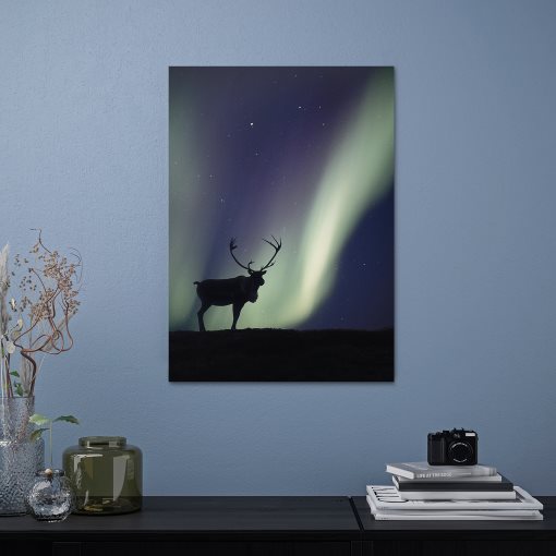 PJÄTTERYD, picture/northern lights deer, 50x70 cm, 306.187.84