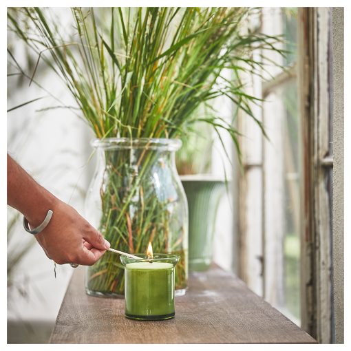 HEDERSAM, αρωματικό κερί σε ποτήρι/γρασίδι, 50 ώρες, 405.024.10