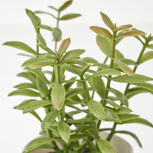 FEJKA, τεχνητό φυτό με κασπό εσωτ./εξωτ. χώρου/αρωματικά φυτά, σετ 3 τεμ. 5 cm, 405.084.07