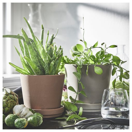KLARBÄR, plant pot with saucer/in/outdoor, 12 cm, 405.084.26