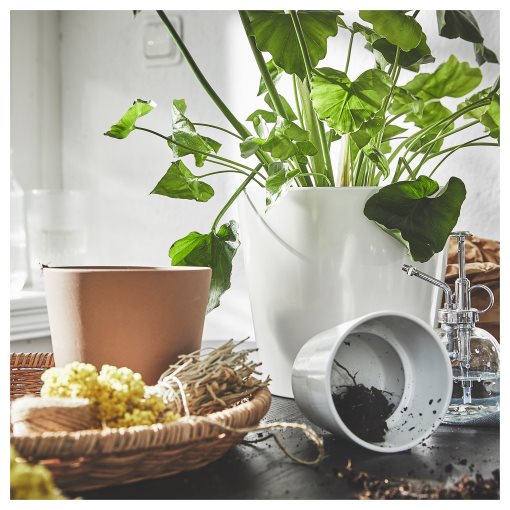 KLARBÄR, plant pot with saucer/in/outdoor, 12 cm, 405.084.26