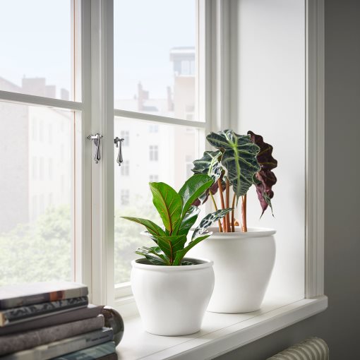 AMBRARÖNN, plant pot in/outdoor, 15 cm, 405.594.92
