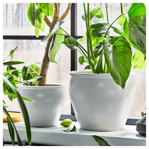 AMBRARÖNN, plant pot in/outdoor, 15 cm, 405.594.92