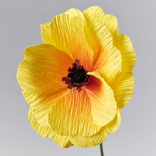 GULDSPETT, artificial flower/Ranunculus, 35 cm, 406.149.69