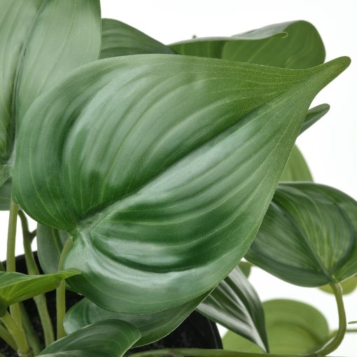 FEJKA, artificial potted plant in/outdoor hanging/Golden Pothos, 12 cm, 406.152.71